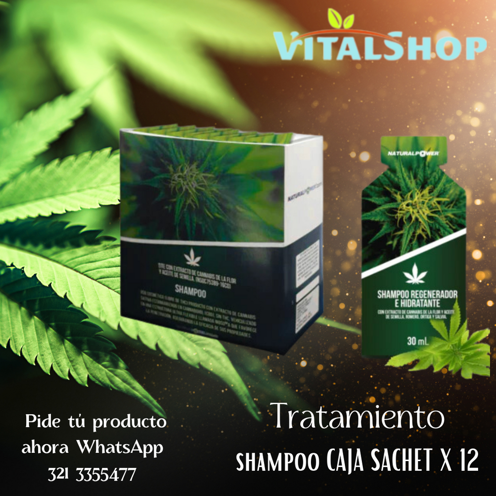 Shampoo Regenerador E Hidratante cannabis Sin Sal y Sin Parabenos (12 Sachets)