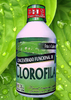 CONCENTRADO FUNCIONAL DE CLOROFILA 500ml