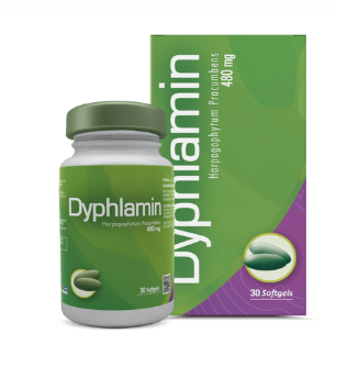 Dyphlamin 480MG x 60 SOFT. "Healthy"